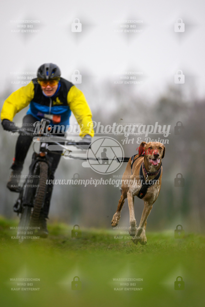 MompixPhotography_CDF2023_FFST_Di_Bike1-96 | PayLife