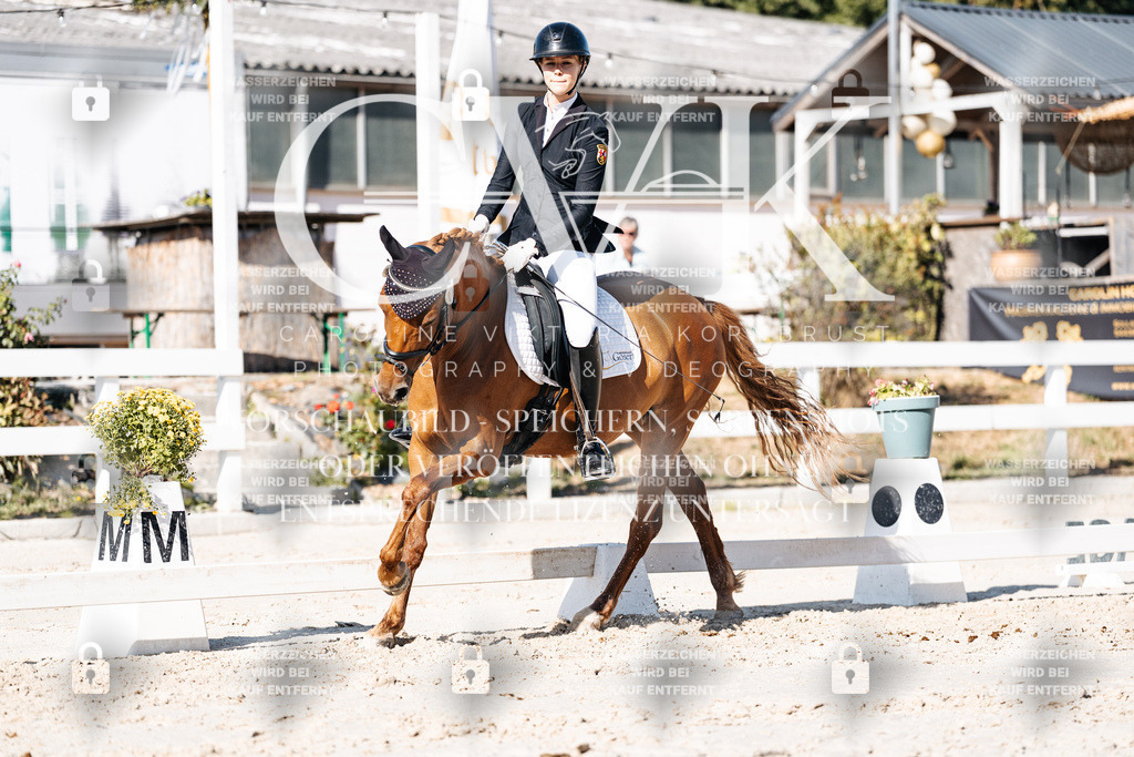 CK907845 | Turnierfotografie Pferdefotografie Trier Rheinland-Pfalz Pferdesport Reitsport Tierfotografie Sportfotografie Pferdevideo Pferdevideografie Equestrianvideography equestrianphotography  - Realisiert mit Pictrs.com
