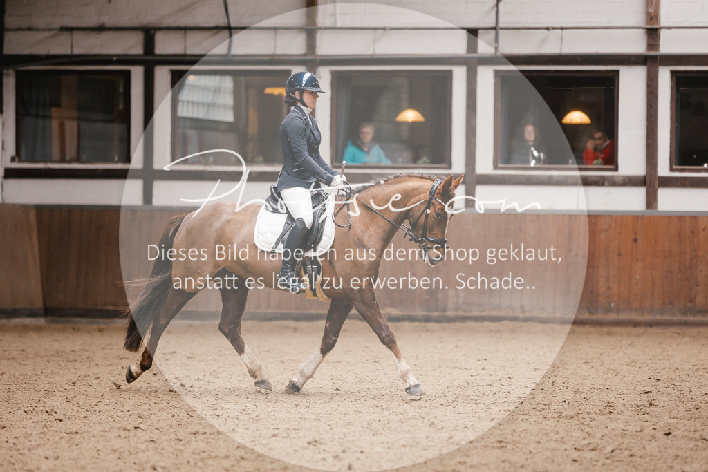 3I6A7369 | Stimmungsvolle Portraits und Reitsportfotografie im Ruhrgebiet und im Münsterland.

Pferdefotografie, Hundefotografie, Tierfotografie, Reportagen, Portraits von Tier und Mensch, Turnierfotografie in Bochum, Recklinghausen, Marl, Haltern am See, Dülmen.. - Realisiert mit Pictrs.com