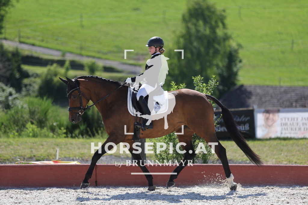 0P6A7700 | Willkommen bei Brunnmayr - Design & Fotografie – Ihrem Spezialisten für Reitturniere und Pferdeveranstaltungen in Oberösterreich, Salzburg und Bayern! Seit über 17 Jahren sind wir leidenschaftlich dabei.