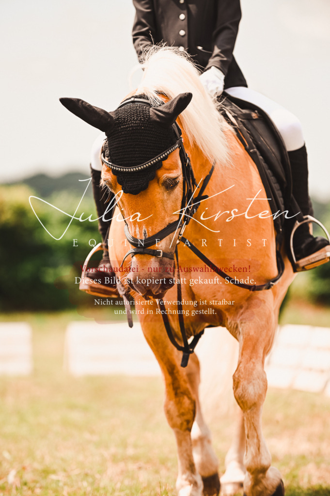 DSC_6257 | Pferde- und Turnierfotografie in Westsachsen. Pferdeportraits, Auftragszeichnungen und intuitive Kunst.