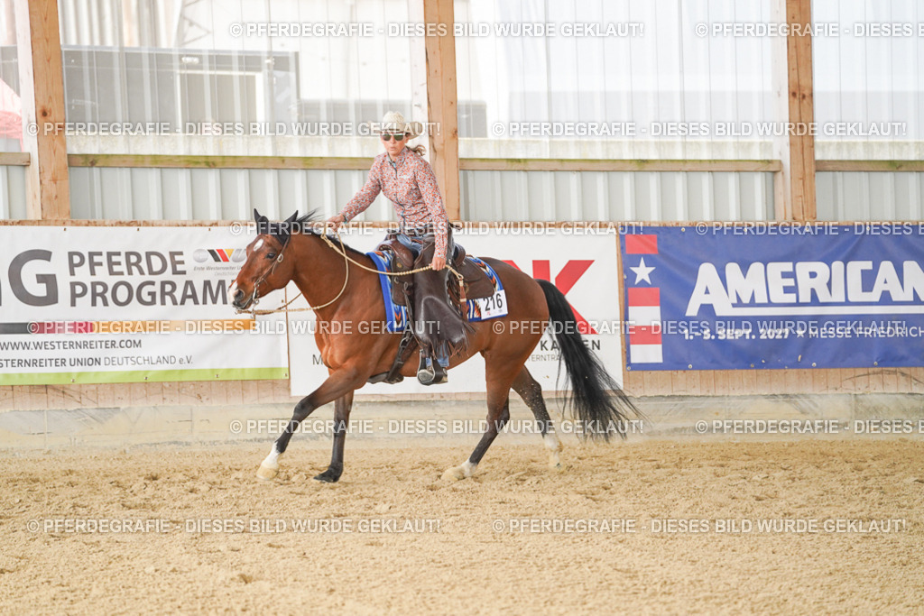 DSC01049 | Pferdegrafie