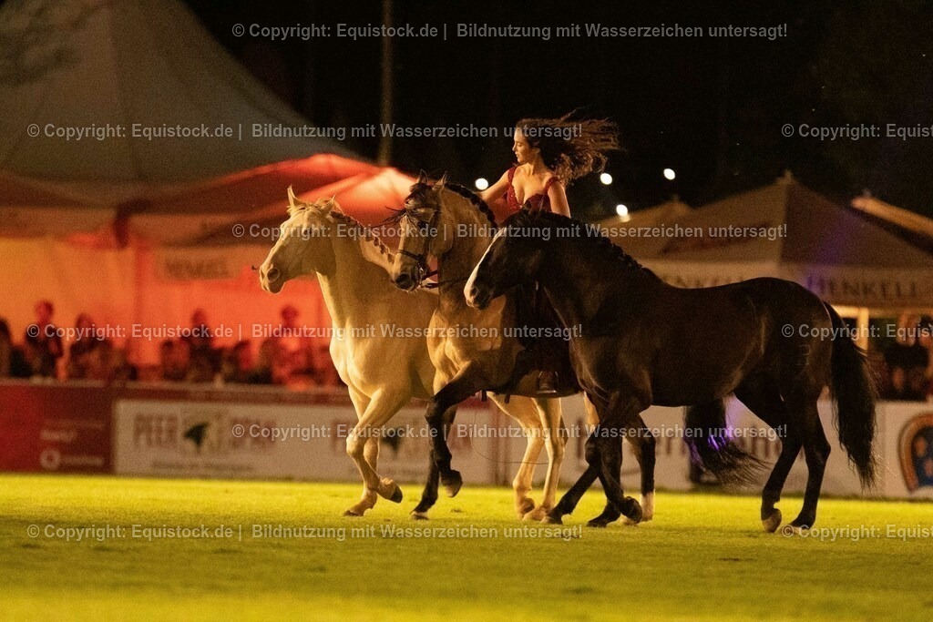 20230526_Pferdenacht_1486 | equistock