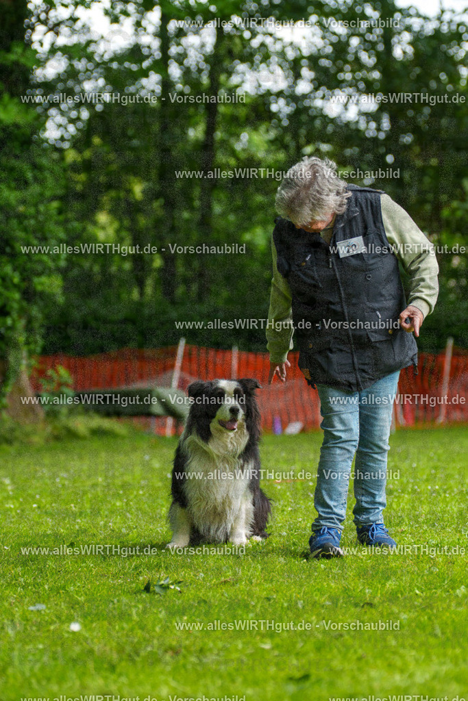 @allesWIRTHgut_Tierfotografie - www.allesWIRTHgut.de - 093701-7R507384 | Professionelle Tierfotografie in Mönchengladbach von Daniel Wirth (allesWIRTHgut). Liebevolle & natürliche Bilder von Hunden & Katzen für unvergessliche Erinnerungen.