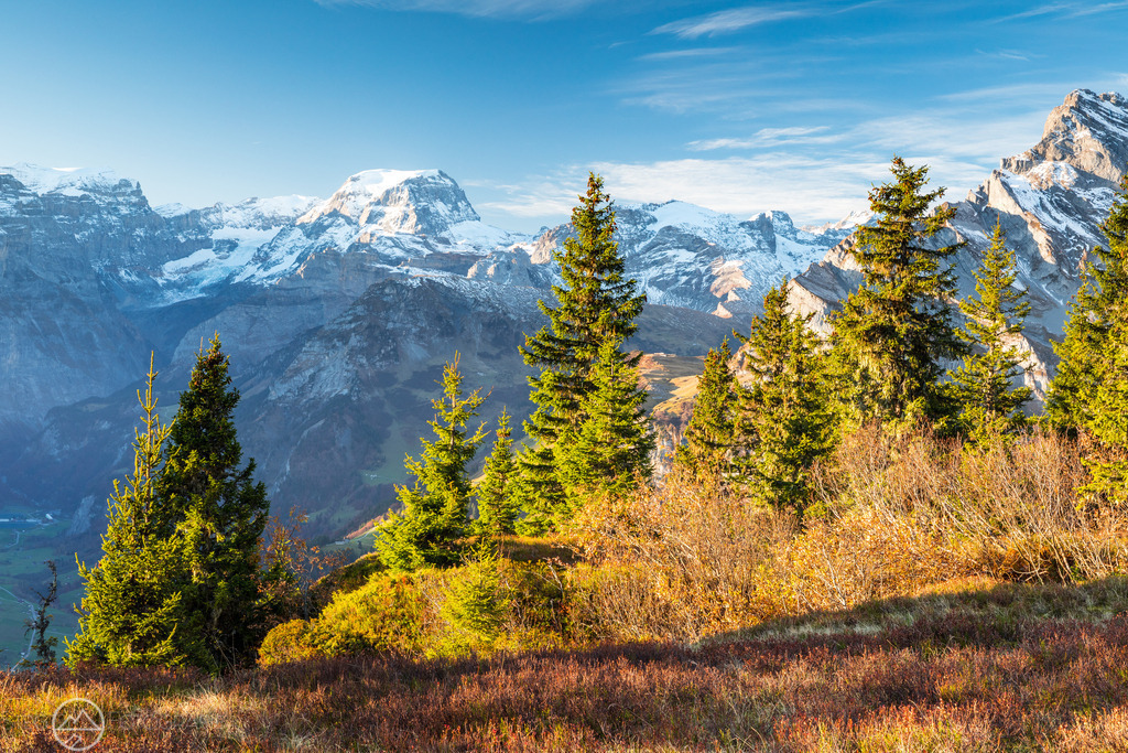 Herbstlandschaft vor dem Tödi 1 | Format 2 zu 3 - Realized with Pictrs.com