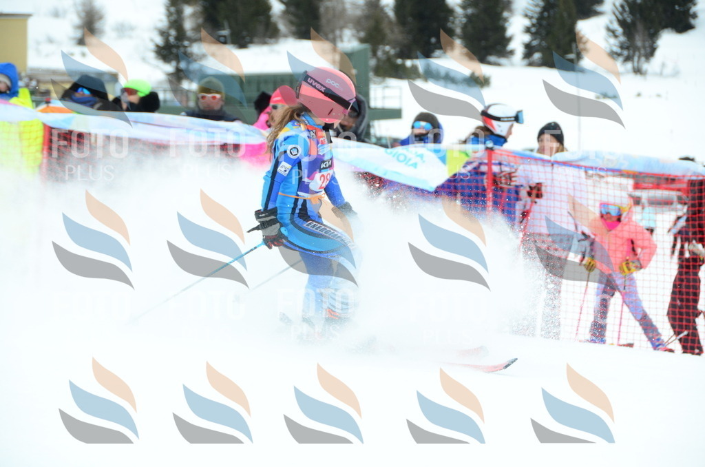 DSC_0814 | holidayphoto