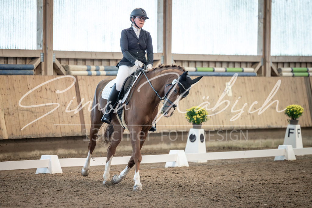 20251011-_3LI6164 | Tierfotografie Pferde, Hunde, Katzen, Haustiere.
Turnierfotografie Reitturniere, Reiten, Springreiten, Dressur in Hanau, dem Main-Kinzig-Kreis und dem Rhein-Main- Gebiet um Frankfurt