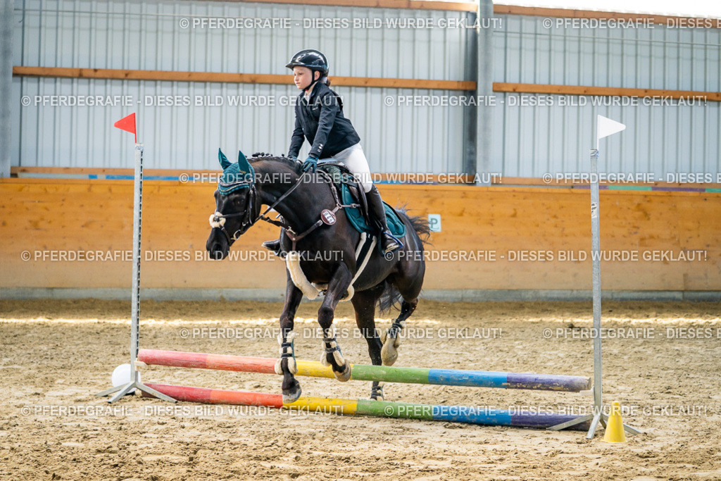 DSC01642 | Pferdegrafie