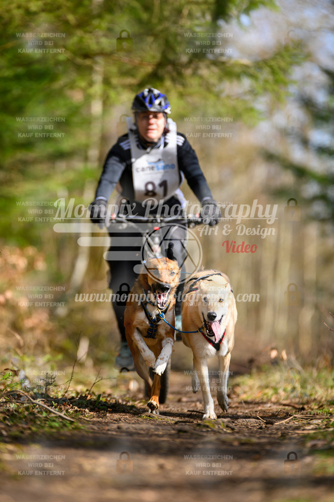 MompixPhotography_ReiatRennen2024_Bike2H-30 | PayLife