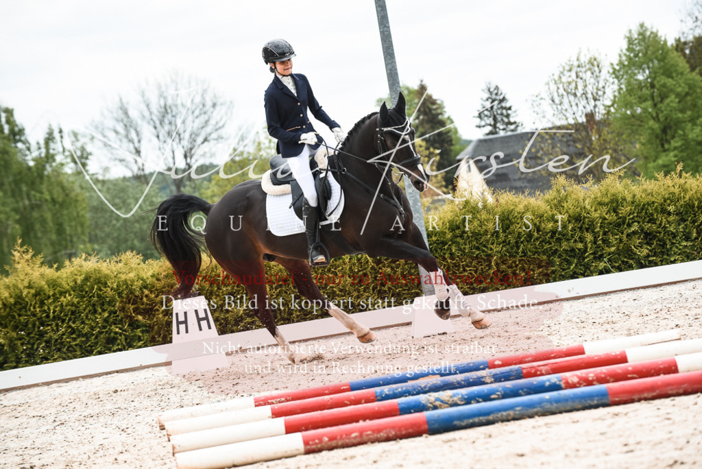 20230518_JK-Röhrsdorf-10-478 | Pferde- und Turnierfotografie in Westsachsen. Pferdeportraits, Auftragszeichnungen und intuitive Kunst.