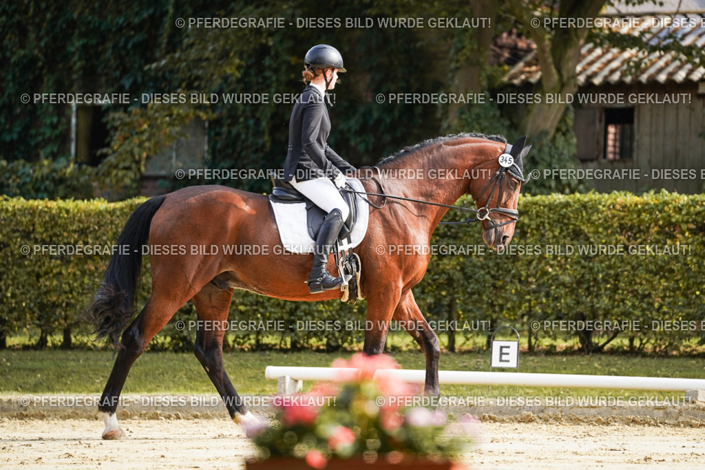 DSC05577 | Pferdegrafie