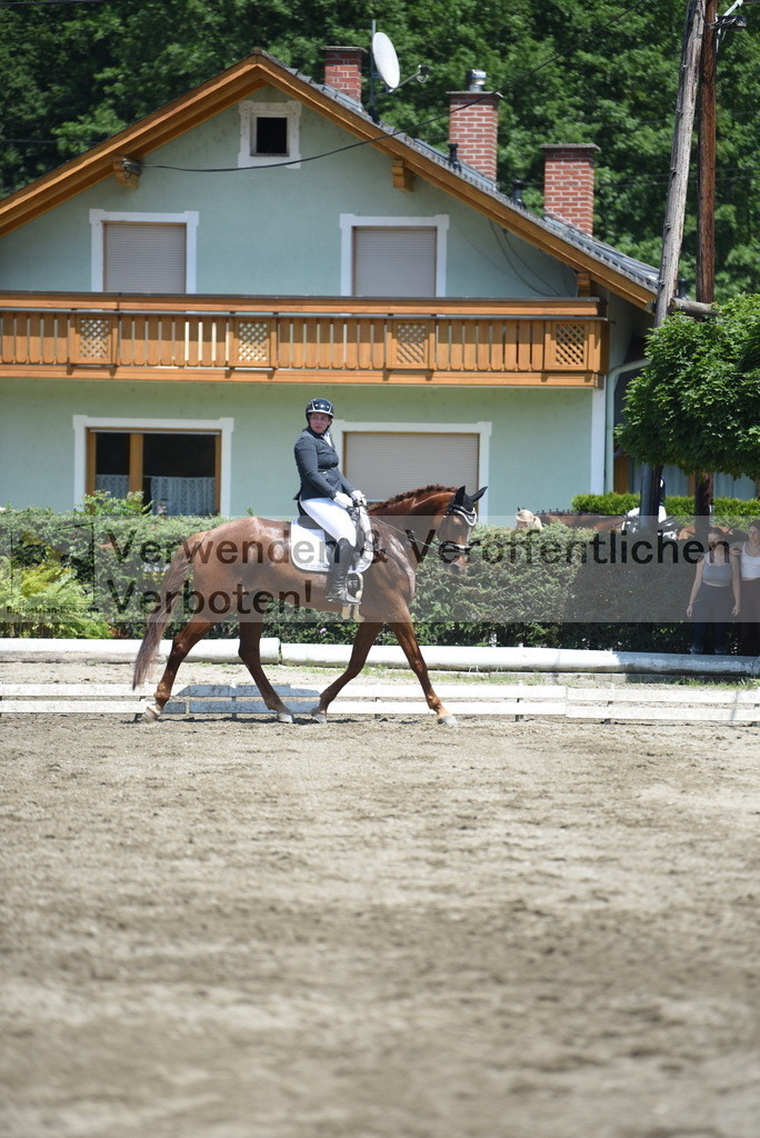 DSC_0804 | equestrian-live-com
