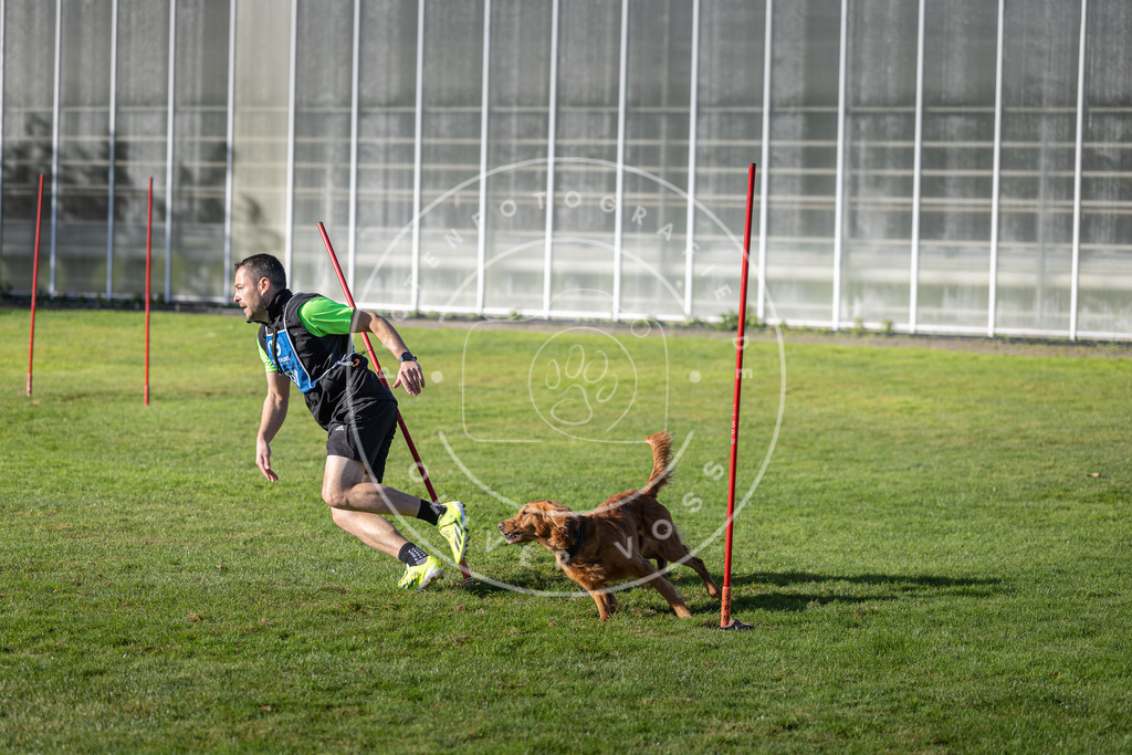 Pfotenfotografie.de_DV3A3420 | Hundefotografie, Tierfotograf, Pfotenfotografie, Fotoshooting Hund, Hunde Portrait, Hundesport, Hundeportraits, Heideshooting, Hunde, Sportfotograf, Hundefotograf, Turnierhundsport, THS, canicross - Realisiert mit Pictrs.com