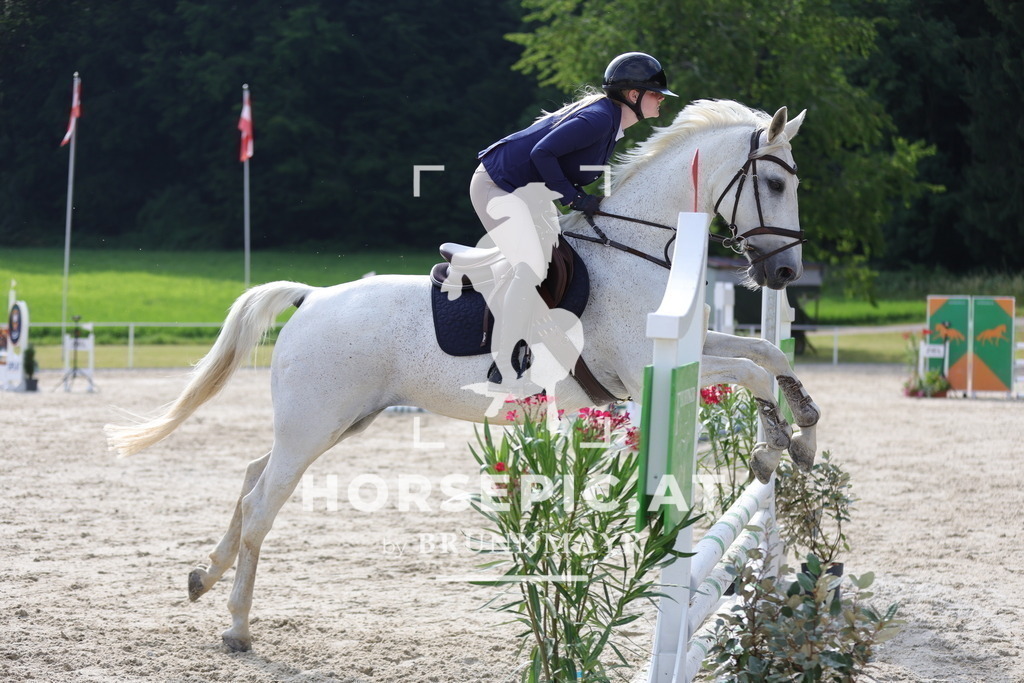 0P6A5938 | Willkommen bei Brunnmayr - Design & Fotografie – Ihrem Spezialisten für Reitturniere und Pferdeveranstaltungen in Oberösterreich, Salzburg und Bayern! Seit über 17 Jahren sind wir leidenschaftlich dabei.