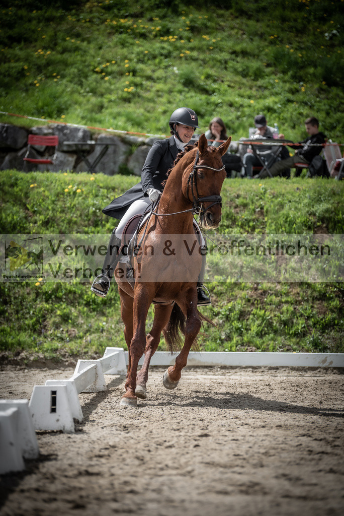 DSC_2601 | equestrian-live-com