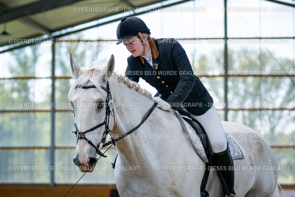 DSC05759 | Pferdegrafie