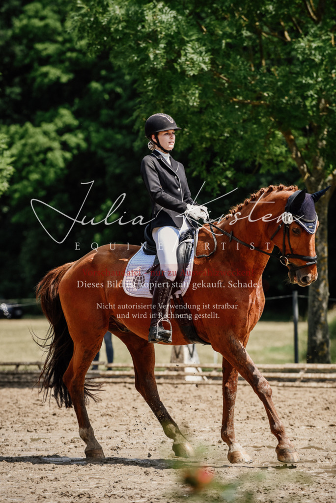 DSC_1527 | Pferde- und Turnierfotografie in Westsachsen. Pferdeportraits, Auftragszeichnungen und intuitive Kunst.