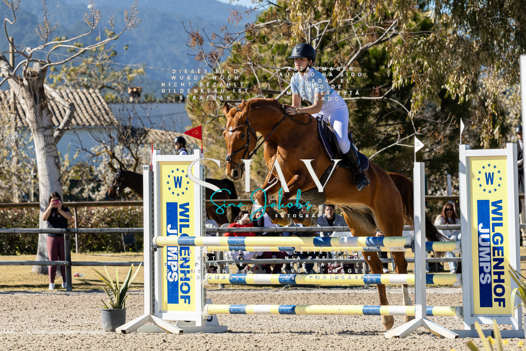 IMG_1170 | s-jay-photography - Realisiert mit Pictrs.com