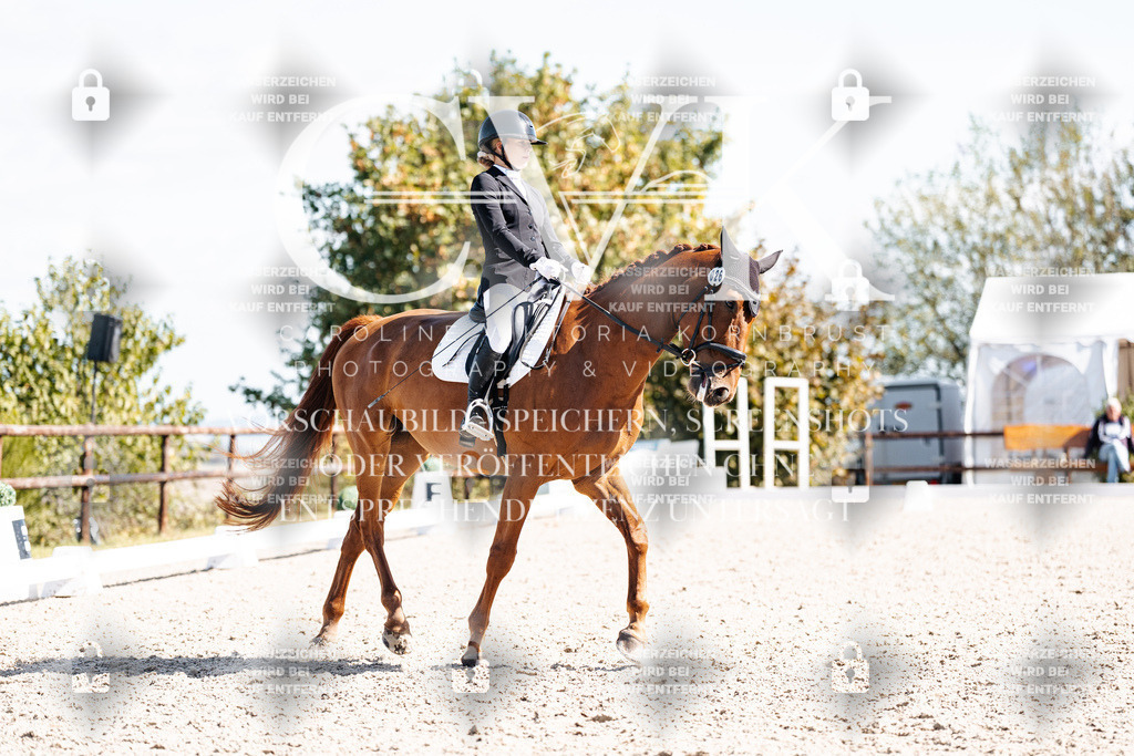 CK902830 | Turnierfotografie Pferdefotografie Trier Rheinland-Pfalz Pferdesport Reitsport Tierfotografie Sportfotografie Pferdevideo Pferdevideografie Equestrianvideography equestrianphotography  - Realisiert mit Pictrs.com