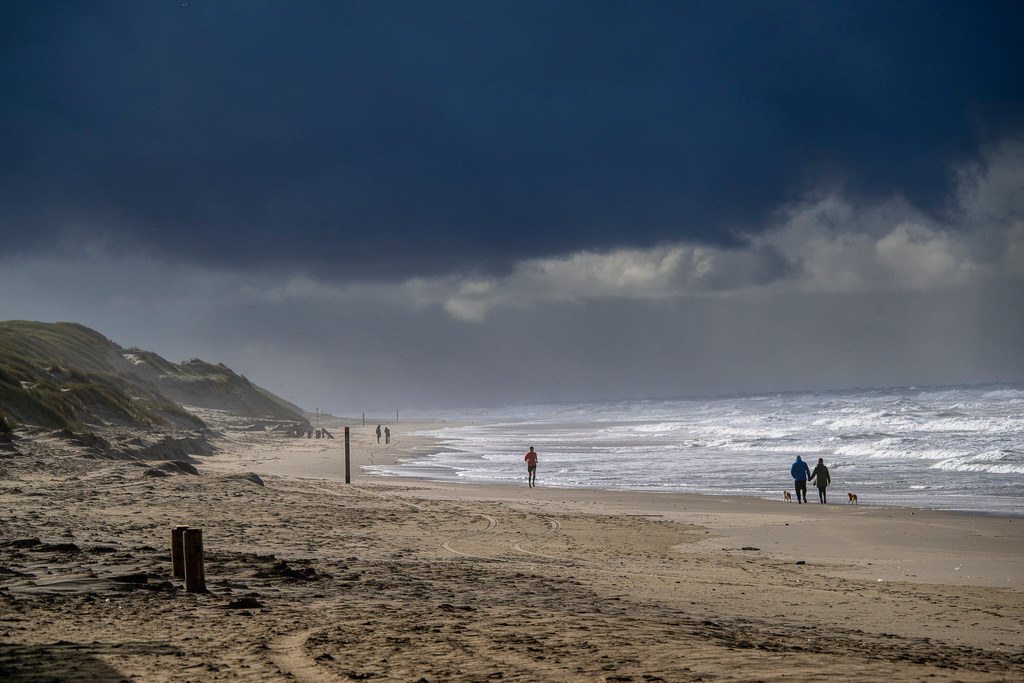 Dramatik über der Nordsee | Ein faszinierendes Spiel der Elemente an der Küste von Texel: Während sich ein tiefdunkler, bedrohlicher Wolkenhimmel über das Meer schiebt, bricht am Horizont ein letztes goldenes Licht durch. Die raue Gischt peitscht gegen den breiten Sandstrand, während Spaziergänger mit ihren Hunden und ein Läufer der ungebändigten Kraft der Natur trotzen. Eine Atmosphäre voller Melancholie, Freiheit und der erhabenen Stille vor dem nächsten Sturm. - Realisiert mit Pictrs.com