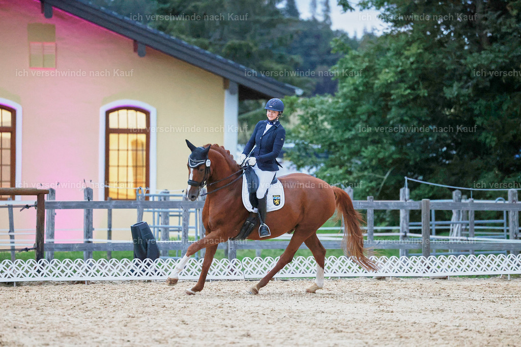 04_2-177-Dressur M__ -StoibPH-3017 | working equitationturnier fotograf videograf stoibphotography marixx film working equitation deutschland reitsport turnierfotografie eventfotografie equestrian events