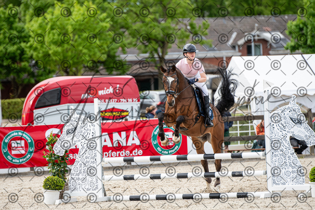 KPT_7209 | andre_photographic