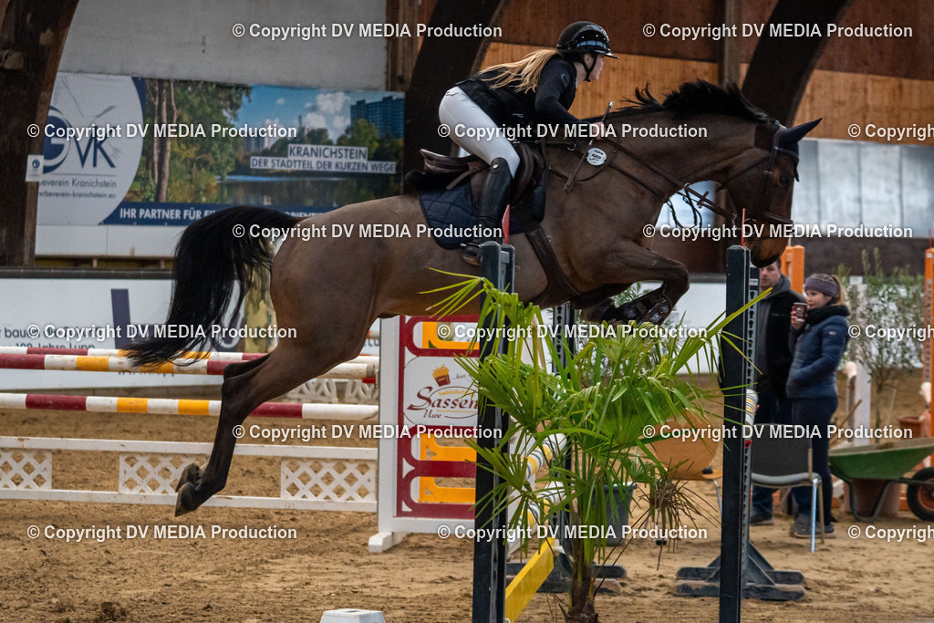 Kranichstein Tag 2-283 | dv-media-shop - Realisiert mit Pictrs.com