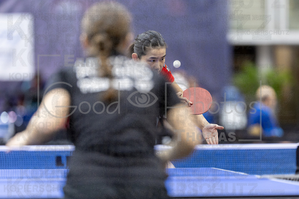 European_Championships_2024-10-15_059 | good-photos - Realized with Pictrs.com