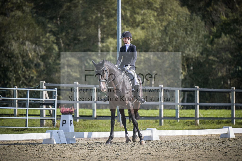DOS_1874 | Entdecke hochwertige Reitturnierfotos von Foto Oger. Professionell, emotional und authentisch – jetzt Lieblingsmomente im Shop bestellen.Deutschlandweite Turnierfotografie. - Realisiert mit Pictrs.com