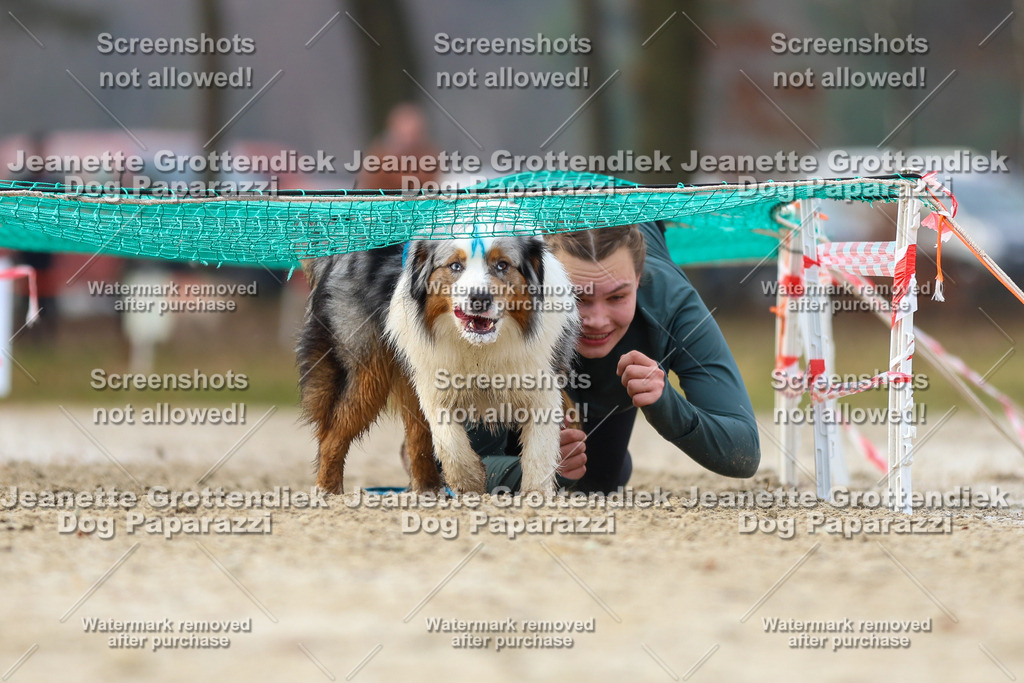 Dog Paparazzi - Strongdog North Mrz26-4183 | Dog Paparazzi Jeanette Grottendiek Fotografie & Videografie - Realisiert mit Pictrs.com