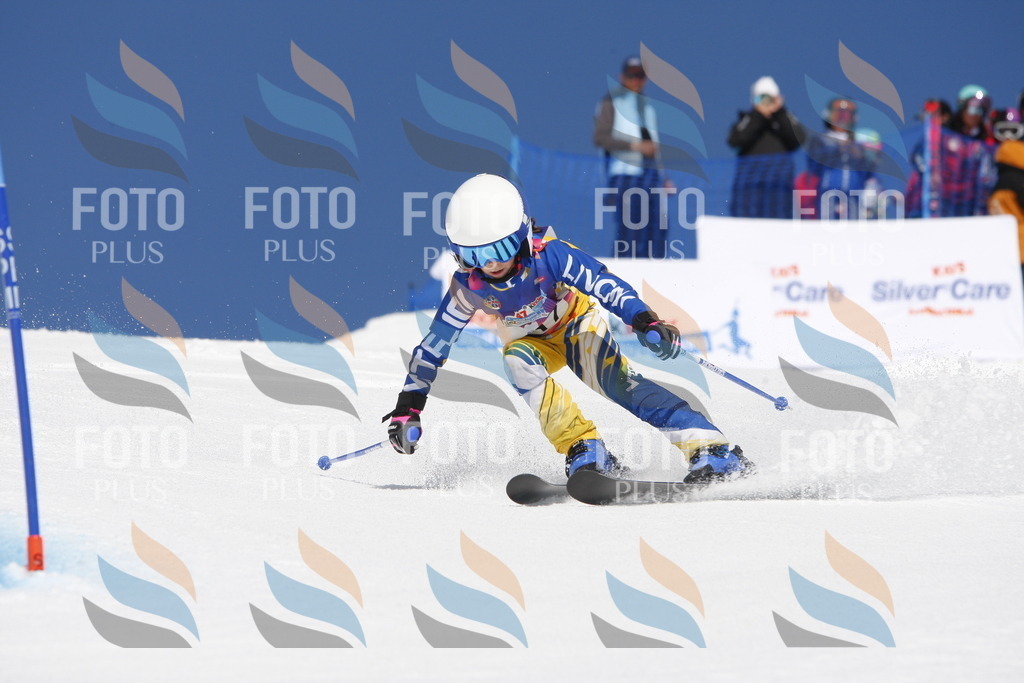 _W1G1751 | holidayphoto