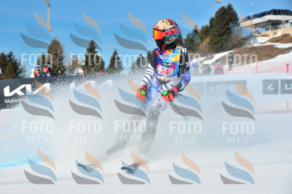 DSC_3880 | holidayphoto