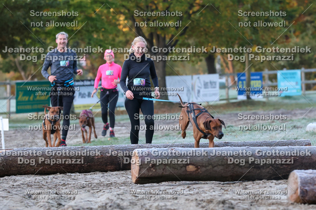 Dog Paparazzi - Strongdog 10-25-156 | Dog Paparazzi Jeanette Grottendiek Fotografie & Videografie - Realisiert mit Pictrs.com