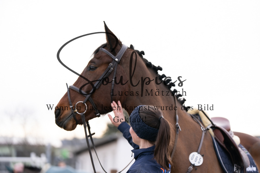 A7V04183 | Pferdefotograf