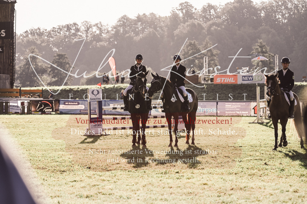 DSC_4537 | Pferde- und Turnierfotografie in Westsachsen. Pferdeportraits, Auftragszeichnungen und intuitive Kunst.