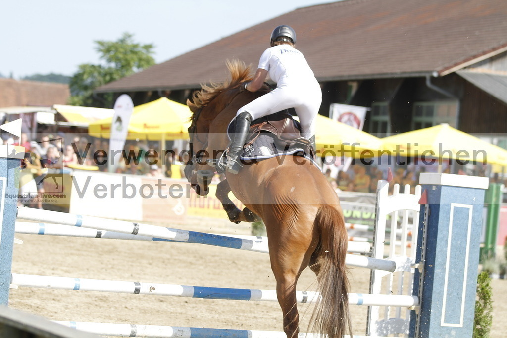 _MG_6472 | equestrian-live-com