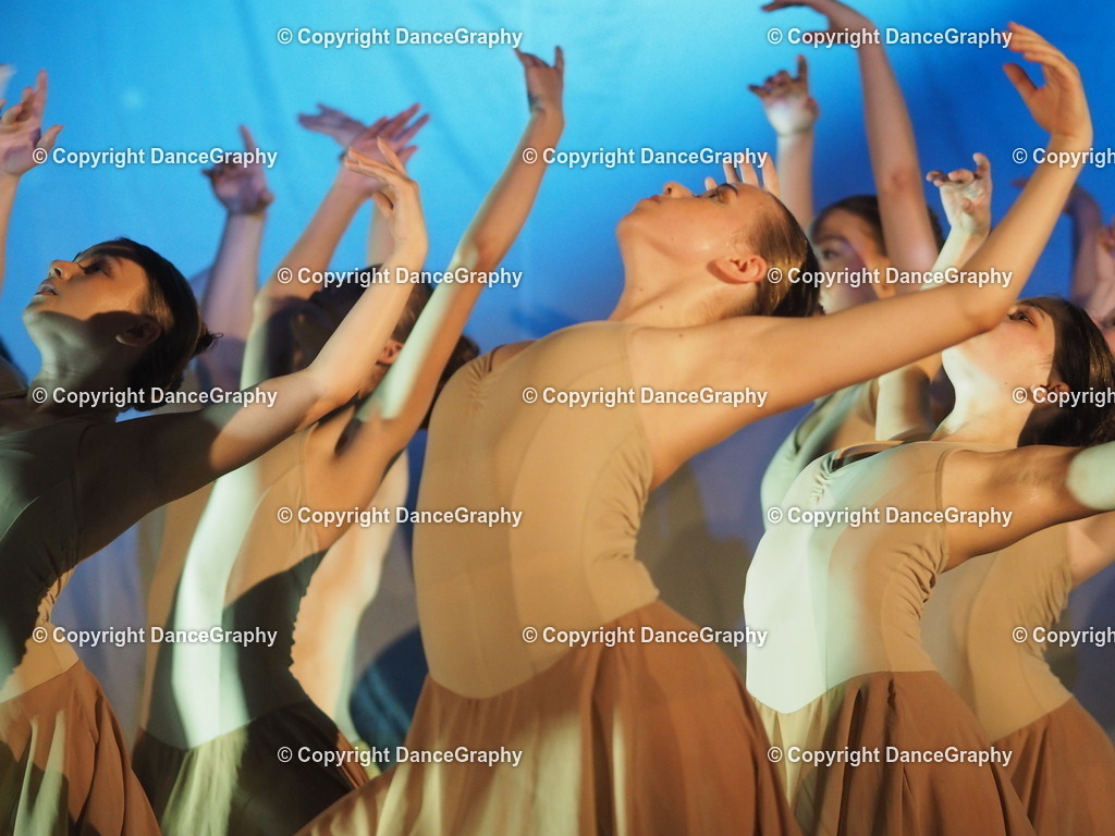 P6280232 | DanceGraphy - Realisiert mit Pictrs.com