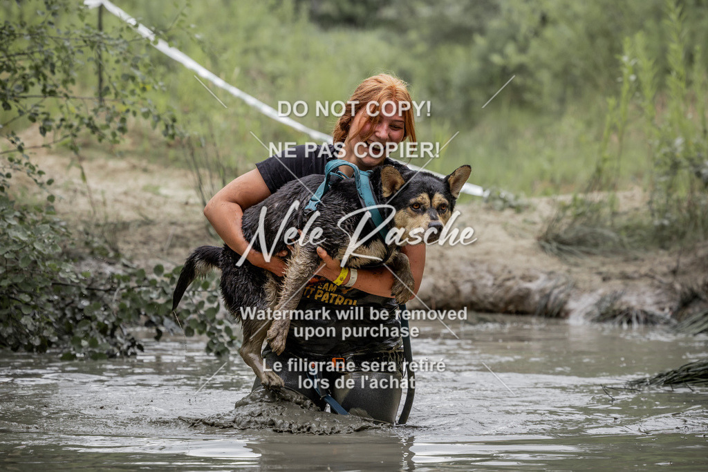 nelerasche_so1515-1530_100 | nelerasche