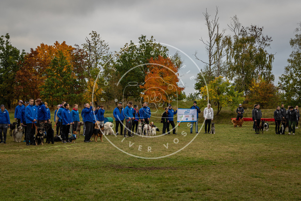 Pfotenfotografie_0L8A0345 | Hundefotografie, Tierfotograf, Pfotenfotografie, Fotoshooting Hund, Hunde Portrait, Hundesport, Hundeportraits, Heideshooting, Hunde, Sportfotograf, Hundefotograf, Turnierhundsport, THS,  - Realisiert mit Pictrs.com