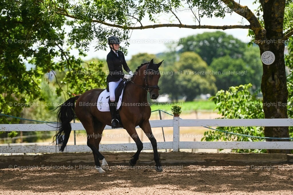 20230716_03_Dressurprfg. Kl.L - Tr._0064 | equistock