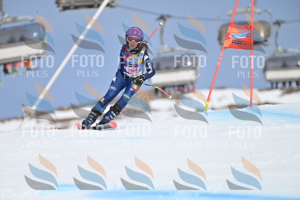 BGV_0327 | holidayphoto