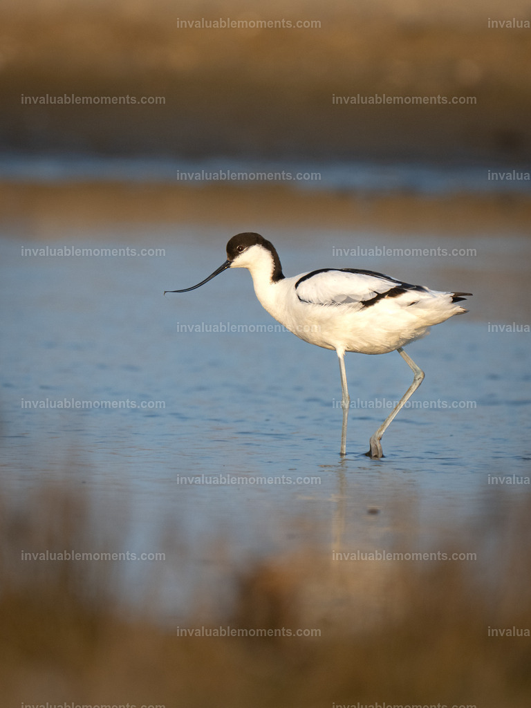 DSC_5913 | invaluablemoments.com - Realisiert mit Pictrs.com