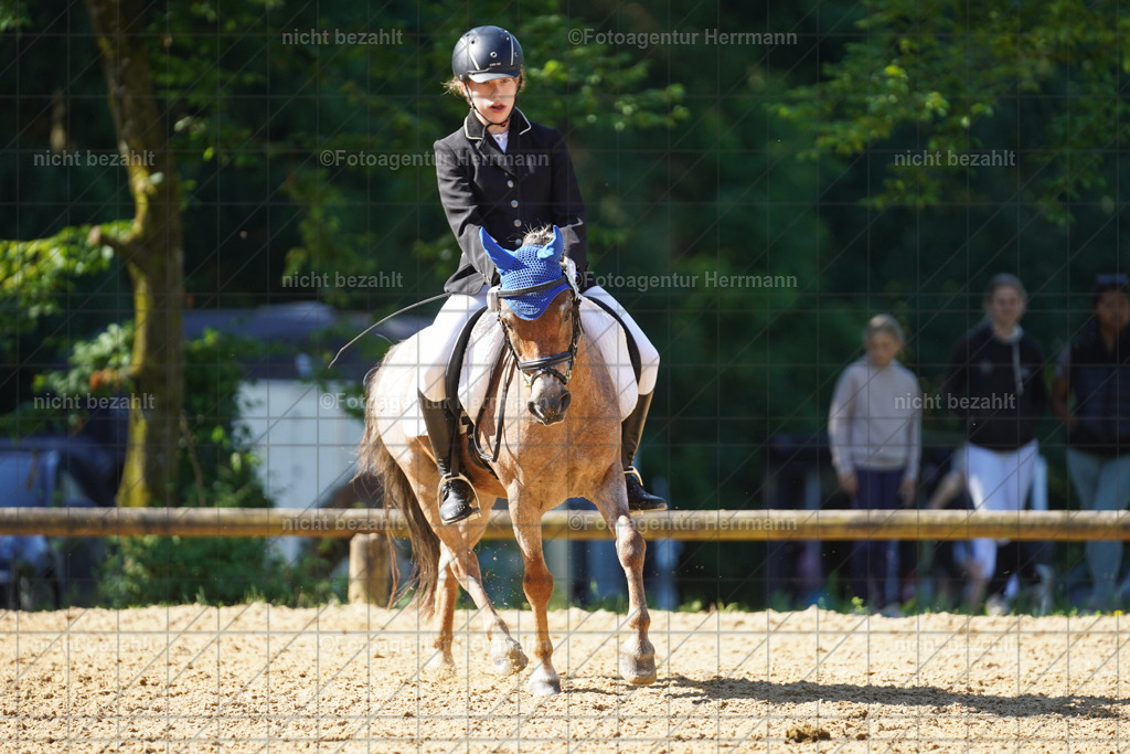 20240706-FAH04743 | Grafing Turnierfotos, Reitverein Ebersberg, Turnierfotografen Bayern, reitsportbilder, Pferdefotograf, reitsportfotograf, Sportbilder, Reitsportfotografie, Fotoagentur Herrmann, Turnierfotograf