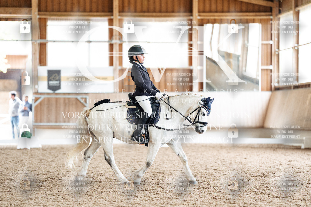 CK900960 | Turnierfotografie Pferdefotografie Trier Rheinland-Pfalz Pferdesport Reitsport Tierfotografie Sportfotografie Pferdevideo Pferdevideografie Equestrianvideography equestrianphotography  - Realisiert mit Pictrs.com