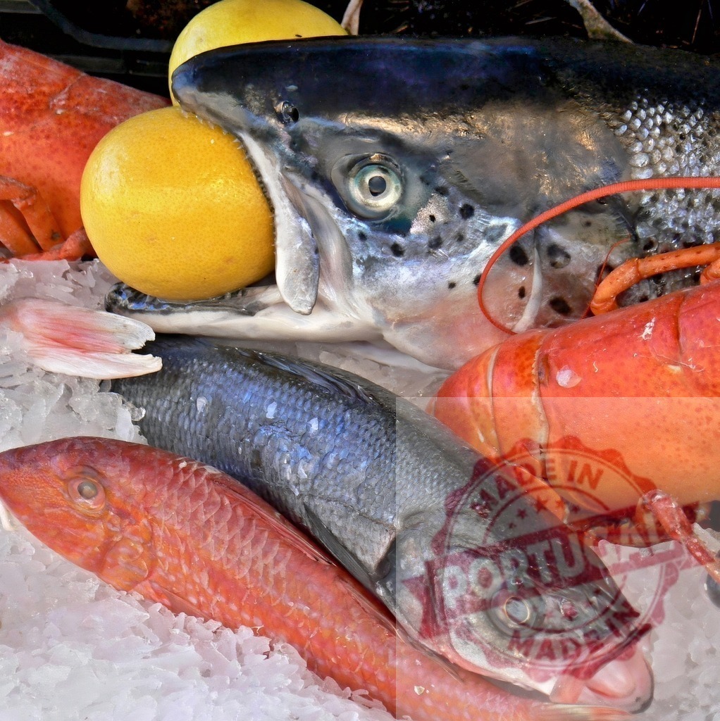 Fresh seafood selection on ice with lemon | Assortment of raw fresh fish and lobster on crushed ice with lemon for display - Realisiert mit Pictrs.com