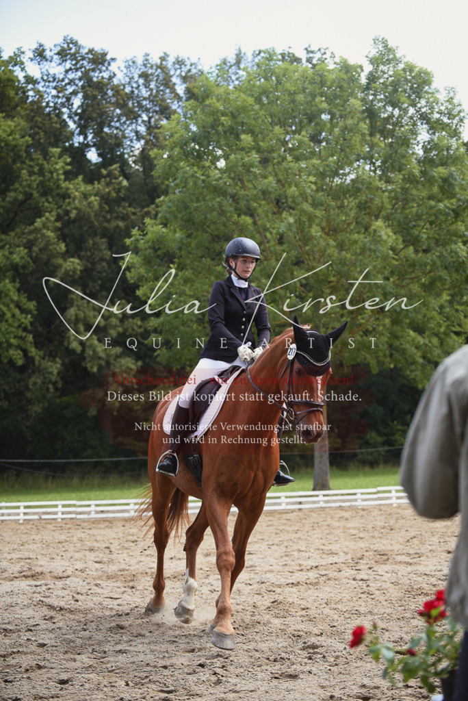 DSC_1086 | Pferde- und Turnierfotografie in Westsachsen. Pferdeportraits, Auftragszeichnungen und intuitive Kunst.