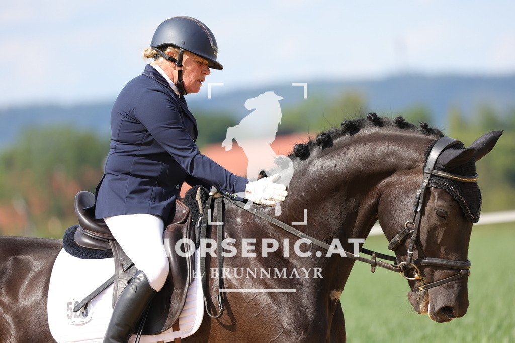 0P6A9121 | Willkommen bei Brunnmayr - Design & Fotografie – Ihrem Spezialisten für Reitturniere und Pferdeveranstaltungen in Oberösterreich, Salzburg und Bayern! Seit über 17 Jahren sind wir leidenschaftlich dabei.