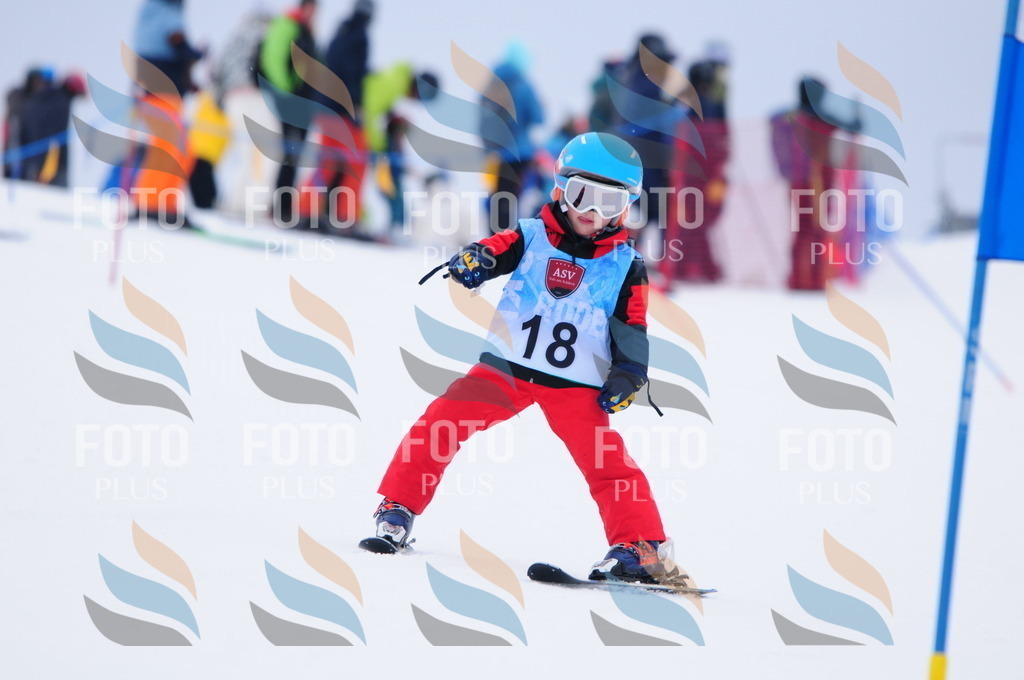 A3391 | holidayphoto