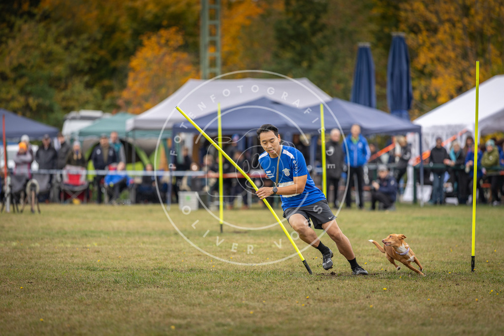 Pfotenfotografie_DV3A8197 | Hundefotografie, Tierfotograf, Pfotenfotografie, Fotoshooting Hund, Hunde Portrait, Hundesport, Hundeportraits, Heideshooting, Hunde, Sportfotograf, Hundefotograf, Turnierhundsport, THS,  - Realisiert mit Pictrs.com