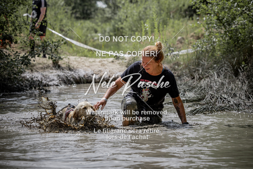 nelerasche_so1145-1230_182 | nelerasche